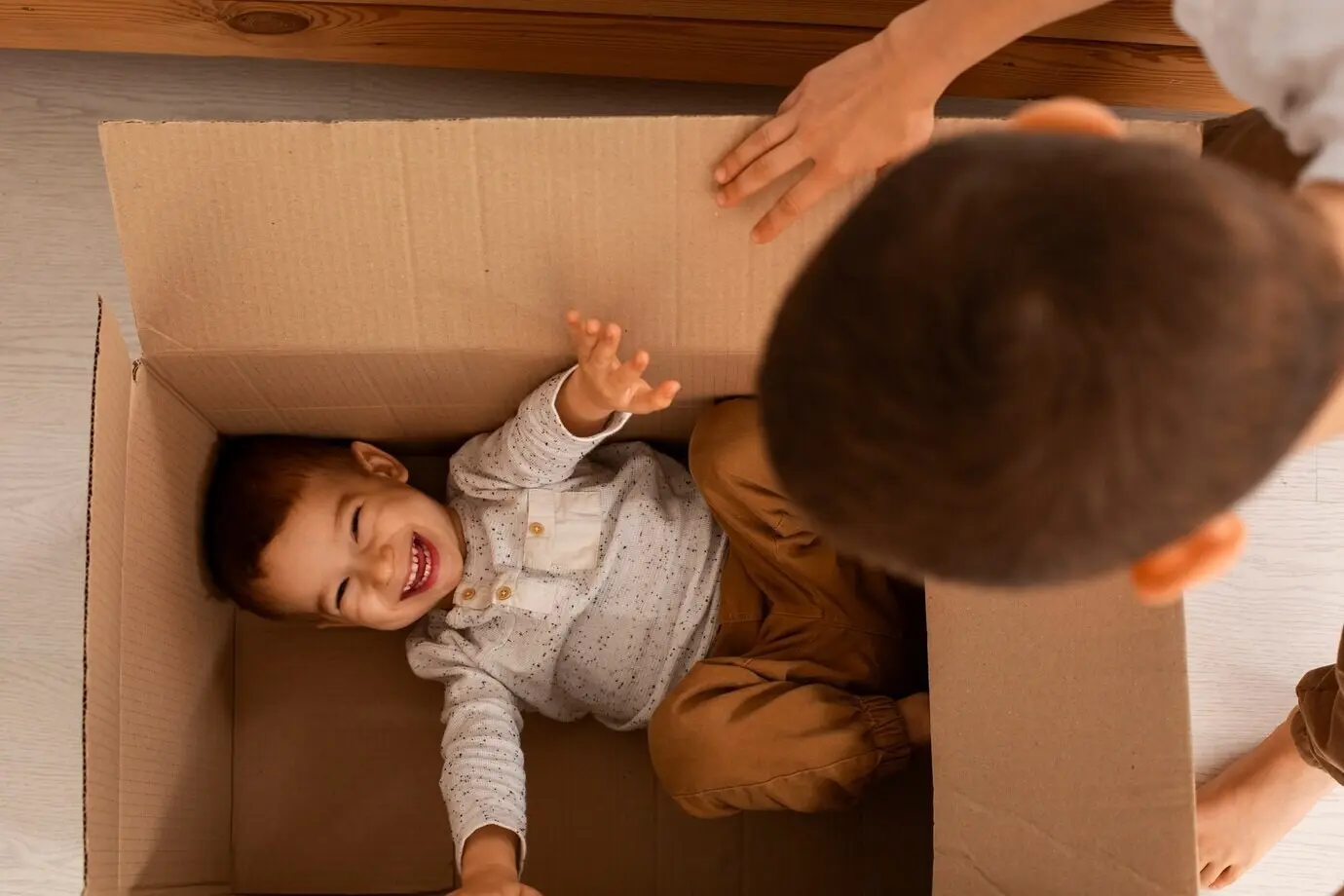 Вид сверху: братья играют с коробкой.